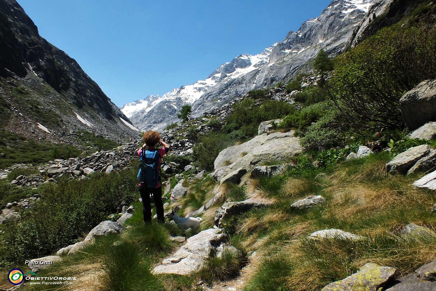 34 Risalendo la valle glaciale del Forno.JPG